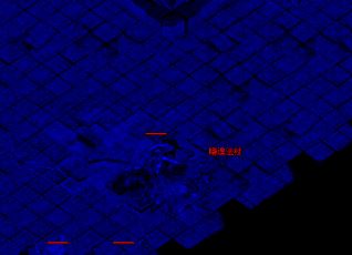 传奇私服新区是魔谷生存的必由之路