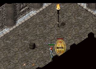 星王合击转世的好处是什么