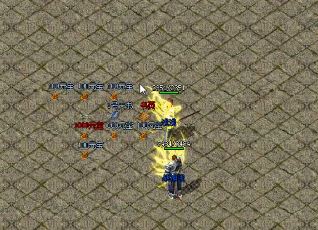 道士玩家在传奇用宝宝也要注意