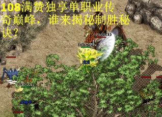 108满赞独享单职业传奇巅峰，谁来揭秘制胜秘诀？