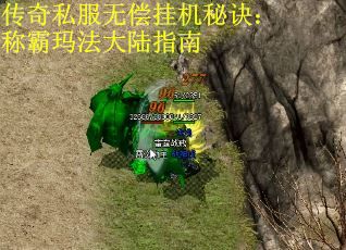 传奇私服无偿挂机秘诀：称霸玛法大陆指南