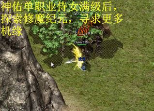 神佑单职业侍女满级后，探索修魔纪元，寻求更多机缘