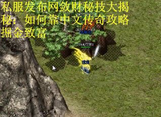 私服发布网敛财秘技大揭秘：如何靠中文传奇攻略掘金致富