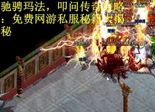 驰骋玛法，叩问传奇攻略：免费网游私服秘籍大揭秘