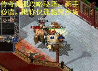 传奇新服攻略秘籍：新手必读，助你快速驰骋沙场