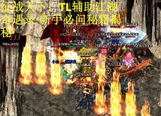 征战天下：TL辅助江湖奇遇录·新手必问秘籍揭秘