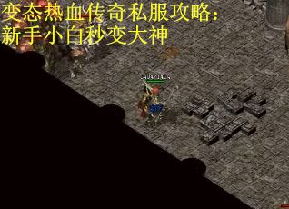 变态热血传奇私服攻略：新手小白秒变大神