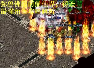 弥兽佛陀问鼎仙界：铸造最强角色攻略解析