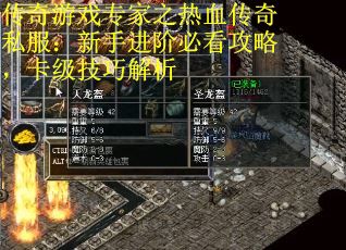 传奇游戏专家之热血传奇私服：新手进阶必看攻略，卡级技巧解析