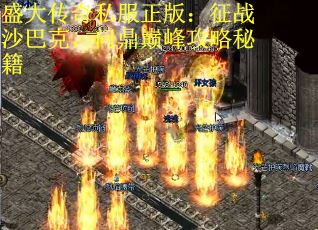 盛大传奇私服正版：征战沙巴克，问鼎巅峰攻略秘籍