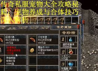 传奇私服宠物大全攻略秘籍：宠物养成与合体技巧深入解析