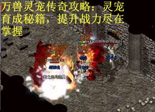 万兽灵宠传奇攻略：灵宠育成秘籍，提升战力尽在掌握