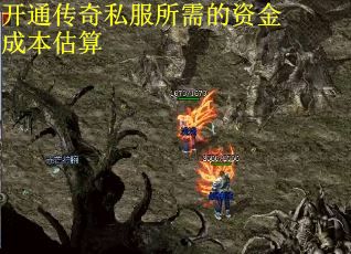 开通传奇私服所需的资金成本估算