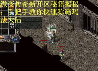 微变传奇新开区秘籍揭秘：手把手教你快速称霸玛法大陆