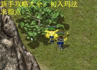 新手攻略大全：初入玛法求指点