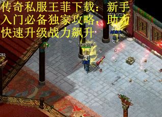 传奇私服王菲下载：新手入门必备独家攻略，助力快速升级战力飙升