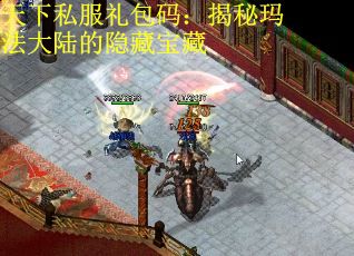 天下私服礼包码：揭秘玛法大陆的隐藏宝藏