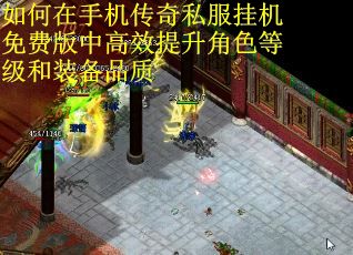 如何在手机传奇私服挂机免费版中高效提升角色等级和装备品质