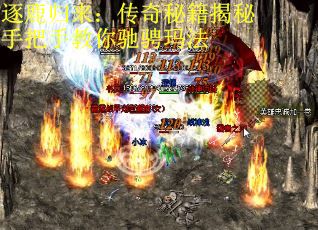 逐鹿归来：传奇秘籍揭秘手把手教你驰骋玛法