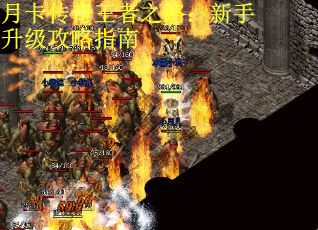 月卡传奇王者之路：新手升级攻略指南