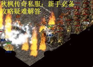 秋枫传奇私服：新手必备攻略疑难解答
