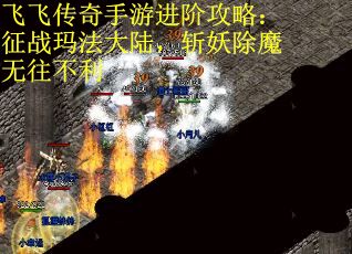 飞飞传奇手游进阶攻略：征战玛法大陆，斩妖除魔无往不利