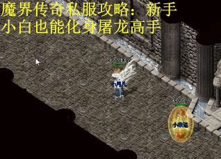 魔界传奇私服攻略：新手小白也能化身屠龙高手