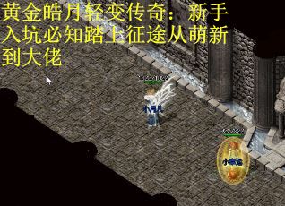 黄金皓月轻变传奇：新手入坑必知踏上征途从萌新到大佬