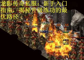 龙影传奇私服：新手入门指南，揭秘升级练功的最优路径