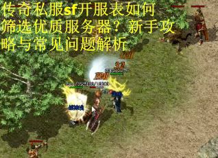 传奇私服sf开服表如何筛选优质服务器？新手攻略与常见问题解析