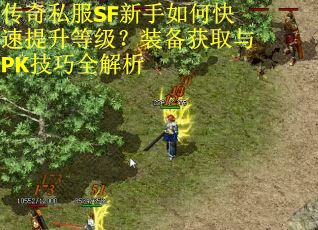 传奇私服SF新手如何快速提升等级？装备获取与PK技巧全解析