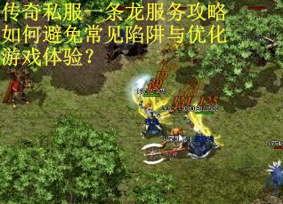 传奇私服一条龙服务攻略如何避免常见陷阱与优化游戏体验？