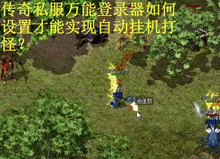 传奇私服万能登录器如何设置才能实现自动挂机打怪？