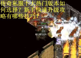 传奇私服十大热门版本如何选择？新手快速升级攻略有哪些技巧？