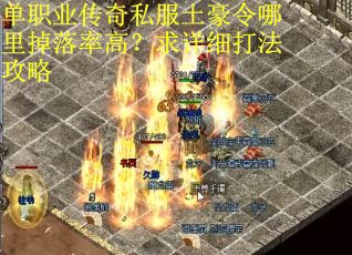 单职业传奇私服土豪令哪里掉落率高？求详细打法攻略