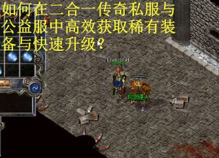 如何在二合一传奇私服与公益服中高效获取稀有装备与快速升级？