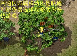 网通区归属移动还是联通？服务器选择攻略助你畅快游戏