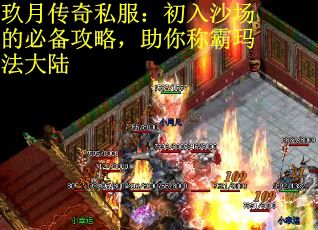 玖月传奇私服：初入沙场的必备攻略，助你称霸玛法大陆