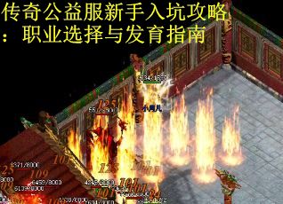 传奇公益服新手入坑攻略：职业选择与发育指南