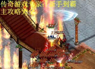 传奇游戏专家：新手到霸主攻略大全