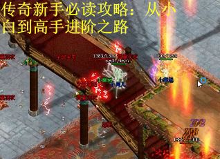 传奇新手必读攻略：从小白到高手进阶之路