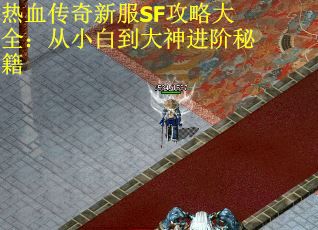 热血传奇新服SF攻略大全：从小白到大神进阶秘籍