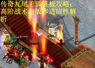 传奇九尾王狐终极攻略：高阶战术与版本适应性解析