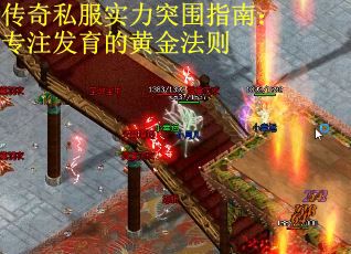 传奇私服实力突围指南：专注发育的黄金法则