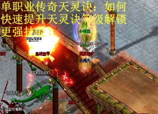 单职业传奇天灵诀：如何快速提升天灵诀等级解锁更强技能？