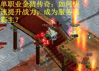 单职业金猪传奇：如何快速提升战力，成为服务器霸主？