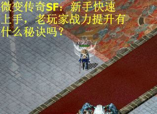 微变传奇SF：新手快速上手，老玩家战力提升有什么秘诀吗？