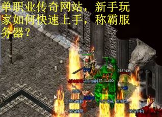单职业传奇网站，新手玩家如何快速上手，称霸服务器？