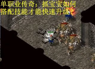 单职业传奇：抓宝宝如何搭配技能才能快速升级？