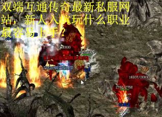 双端互通传奇最新私服网站，新人入坑玩什么职业最容易上手？